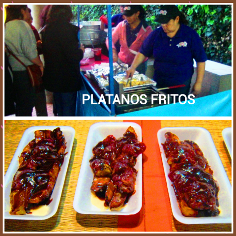 Editor_de_Fotocollages_ILFSCv%5B1%5D.png