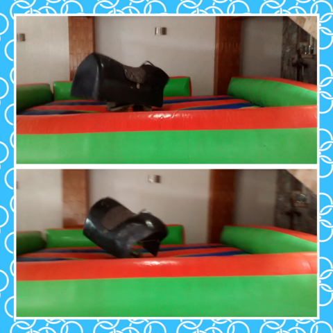 Editor_de_Fotocollages_TWSn51%5B1%5D.png