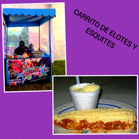 Editor_de_Fotocollages_xWSiyR%5B1%5D.png