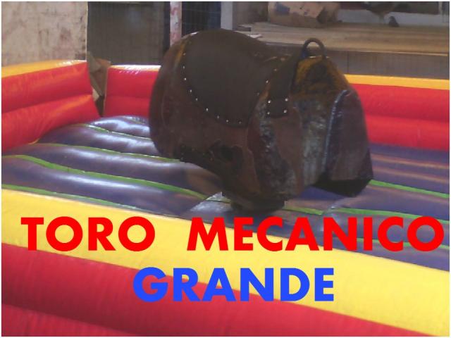 TORO_GDE.jpg