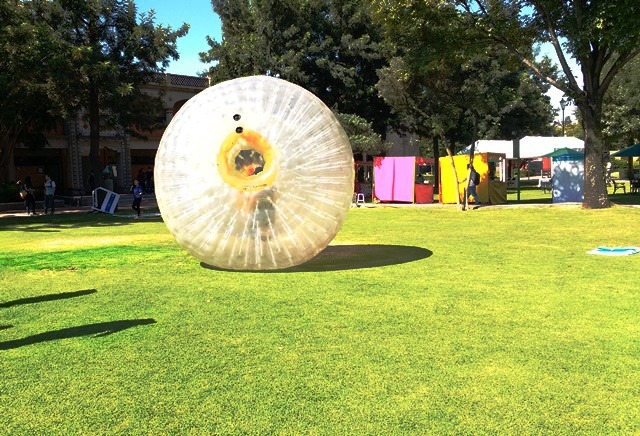 esfera_pasto_%282%29.jpg